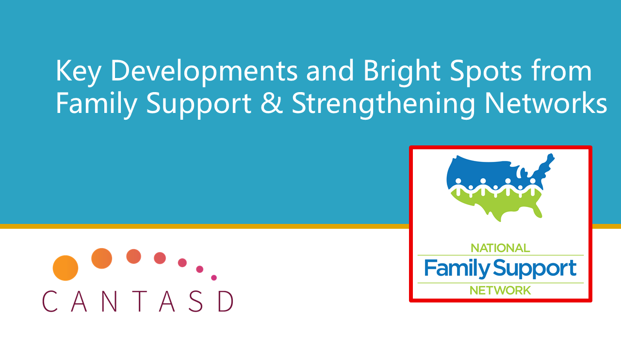 Key Developments and Bright Spots from Family Support & Strengthening Networks (This link opens in a new window)